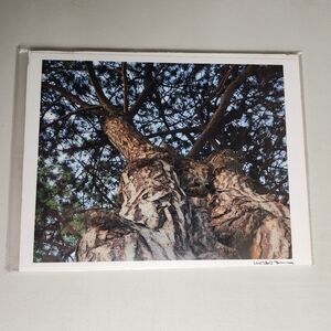 Korbin Berg Mount Horeb, WI Fine Art Photographer/Nature Print 8.5x11"